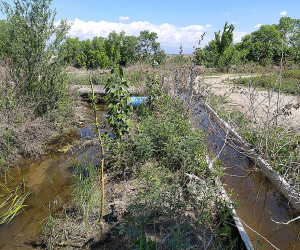 $178,000 Irrigation System Creates More Problems Than Solutions for Farmers in Armenia’s Armavir Province