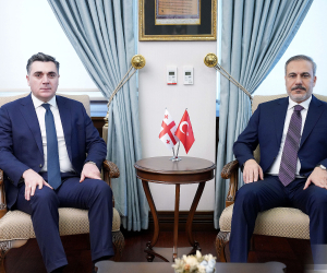 Turkish, Georgian Foreign Ministers Meet in Ankara
