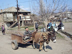 23_03-debedavan