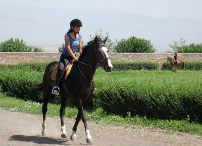 06_07-hourse-2