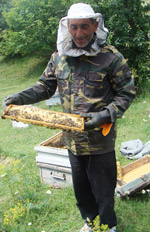 10_08-honey-4