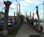 komitas_60_14.04.10