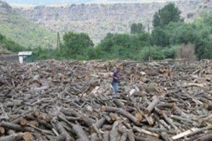 Դիմում-պահանջ վարչապետին՝ Թեղուտի պաշտպաններից