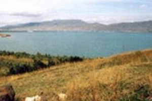 The Village Mayor Asks for a Realistic Subsidy