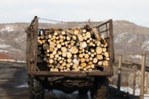 Автоинспекторы такие машины не замечают