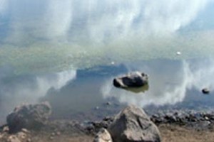 Голубой родник без воды и всего остального