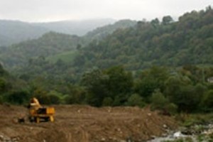 Illegal Logging in Lori