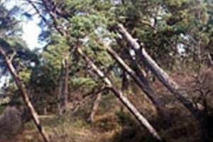 Оползни разрушают Дилижан