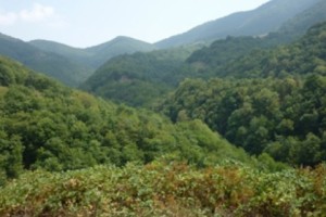 Արցախում մեկնարկում է հանքարդյունաբերական նոր խոշոր ծրագիր