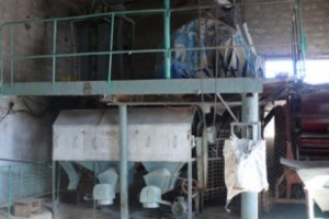Գյուղացին եթե հացահատիկ ցաներ, ալրաղացի դուռը չէին կողպի