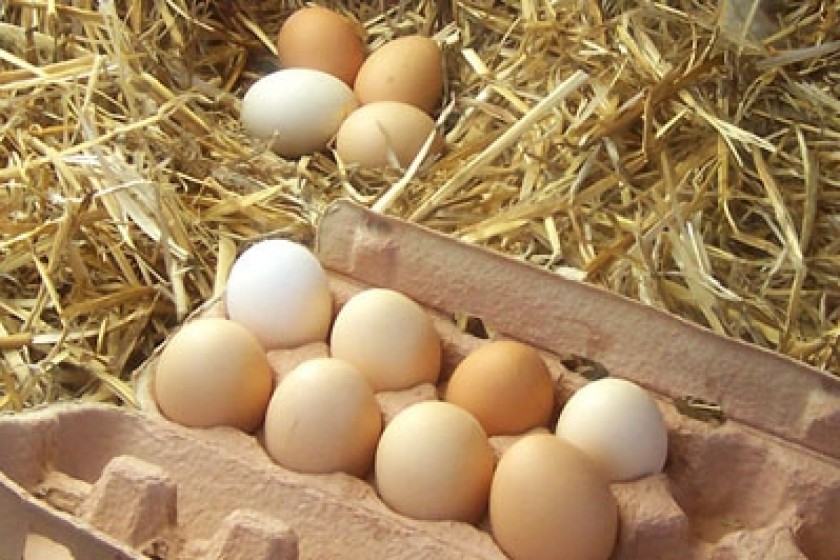 Caveat Emptor - Unlabelled Eggs in Yerevan Marketplace