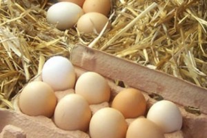 Caveat Emptor - Unlabelled Eggs in Yerevan Marketplace