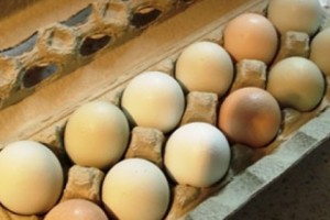 «Հայացք». զատիկի ձուն 1 դրամով անգամ չի՞ թանկանա