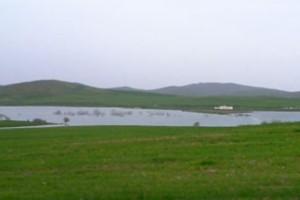 Հարթավայրի զինվորները (վիդեո)