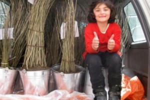 “Regardening of Eden” to Start in Margahovit Village