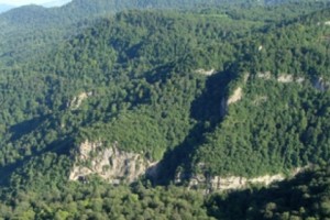 Guidebook on RA Forest Legislation