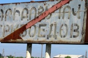 Voice of the Candidates: Griboyedov Village Awaits Special Mayoral Election