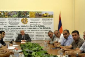 Սերգո Կարապետյան. «Եթե այսպես շարունակվի, կունենանք լուրջ խնդիրներ մթերման 
շղթայում»