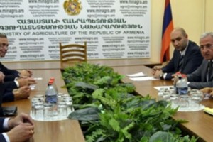 Թվինինգ ծրագիրը՝ Հայաստանում