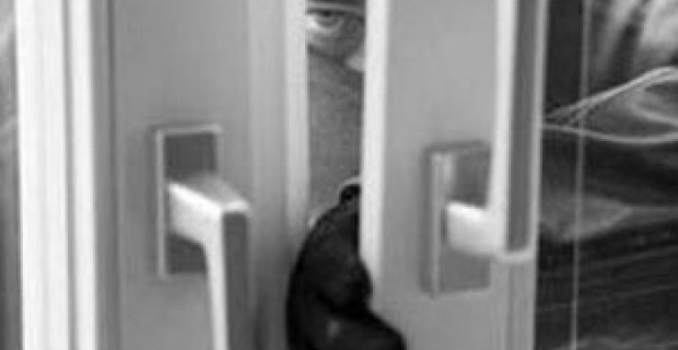 Police Arrest Two Teens in Attempted Yerevan Store Robbery