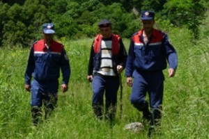 Ֆելիքս պապն ընկել էր ձորակը, նրա վիճակը ծանր է