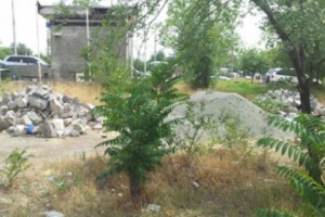 Նախարարությունն արձագանքել է ահազանգին