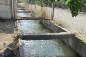 Արմավիրցիներն առաջարկում են ոռոգման նպատակով առավելագույնս օգտագործել խորքային հորերը