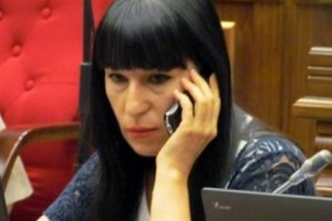 Նաիրա Զոհրաբյանը դեսպաններին բացատրում է իրենց առաքելությունը (վիդեո)