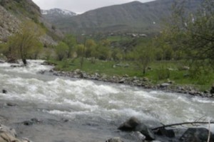 Հորդ անձրևը ողողել է Մարտիրոս գյուղը