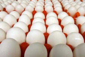 Bad Eggs Being Sold On Store Shelves