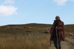 Контрольная служба премьер-министра РА изучит ситуацию в варденисской психбольнице