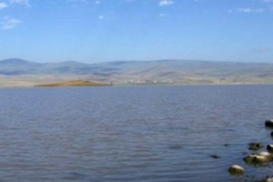 Արփայում հոսանքով ձուկ է բռնել