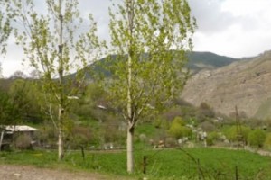 «Բերքի տոնի» և «Վայոց ձորի ավանդական խոհանոցի» տոնահանդես` Հերմոնում