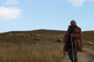 Տնօրենը մա՞րդ է շահագործել, թե՞ բենզին է գողացել
