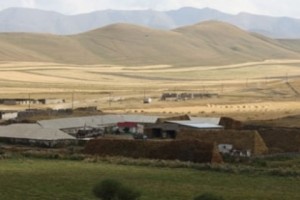 «Համեր»-ով գյուղապետը թաքցրել է իր հարազատների անուններով գրանցած հողերը