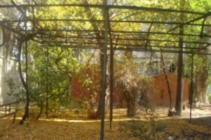 Goodbye to Garden? Yerevan Residents Fear Stores Will Be Built