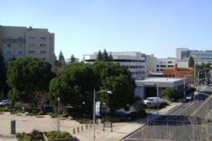 Monte’s Mother Passes Away in California:  Reminiscences of Our Meeting