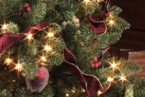 Conspicuous Consumption: Armenians Lining Up for New Years Loans