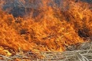Գորիսի մոտ այրվել է 100 հա բուսածածկ տարածք