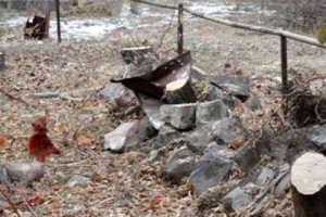 Բնակիչները մինչև վերջ պայքարելու են, որ «Մեծ մահակ» ՍՊԸ-ն մոթել չկառուցի իրենց միակ կանաչ տարածքում