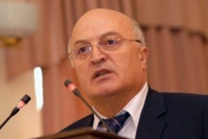 Deputy Prosecutor General Calls on Constitutional Court to Validate Election Results; Argues No 
Systematic Fraud