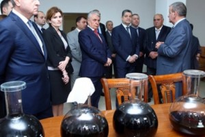 «Շահնազարյան» ՍՊԸ-ն նախատեսվում է այս տարվա ընթացքում մթերել 8000 տոննա խաղող