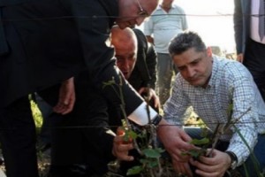 Կարկուտից տուժած 46 համայնքների բնակիչները հողահարկ չեն վճարի. վարչապետն այցելել է Արմավիրի մարզ