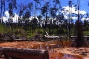 US: Walmart Fined Two Minutes Of Revenue For Environmental Crimes