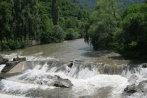 Anglers Angry: Electro-Shock and Toxic Wastes Lead to Less Debed River Fish