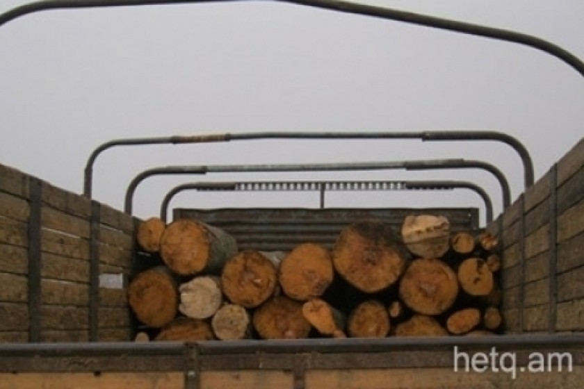 В лесу близ Иджевана срублено 53 дерева. Возбуждено уголовное дело