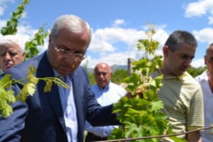 Գյուղախարարը հավաստիացրել է, որ բերքը կմթերվի ամբողջությամբ ու ճիշտ ժամանակին