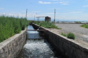 ՊԵԿ-ի նախագահի տեղակալը, նրա հայրը և ֆրանսահայը` ձկնաբիզնեսում