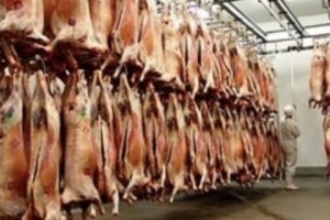 Գորիսում հիվանդ մսի վաճառքի դեպքեր չեն արձանագրվել, սակայն դա չի նշանակում, 
որ այն բացառվում է
