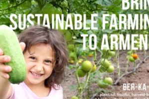 Greenhouses to Make Border Village of Berkaber Plentiful Again